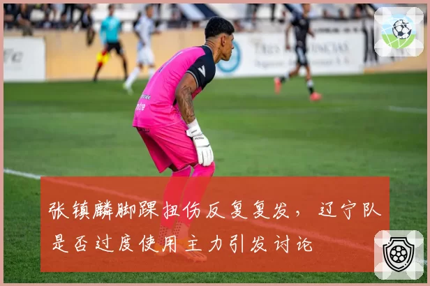 张镇麟脚踝扭伤反复复发，辽宁队是否过度使用主力引发讨论