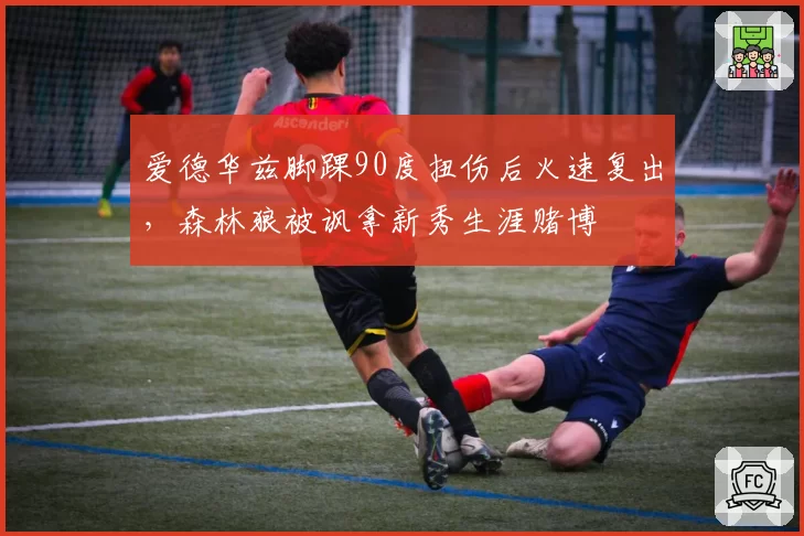爱德华兹脚踝90度扭伤后火速复出,森林狼被讽拿新秀生涯赌博