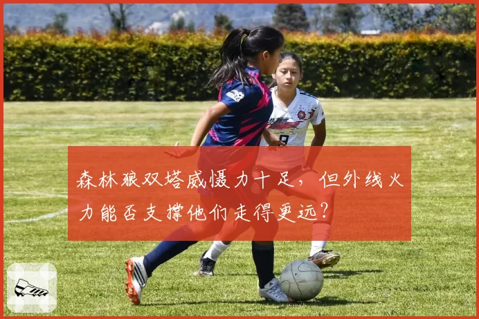 森林狼双塔威慑力十足,但外线火力能否支撑他们走得更远?